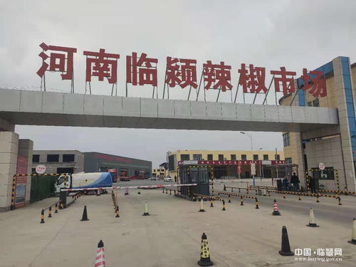 中国供销﹒豫中农产品批发电商园建设项目