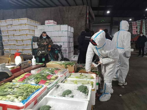 记者夜访吉林市农产品批发市场 每天多供400吨,价格稳定